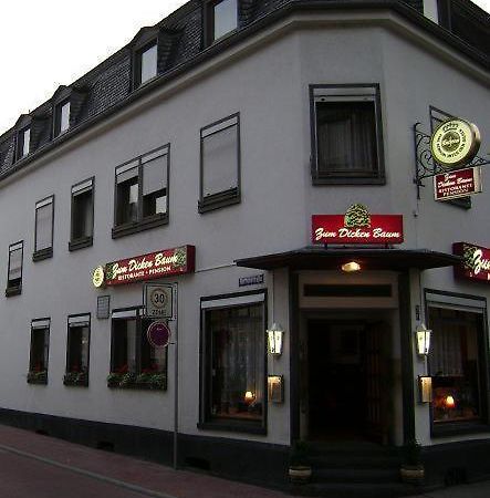 Hotel Zum Dicken Baum Mayen Luaran gambar