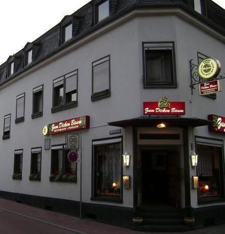 Hotel Zum Dicken Baum Mayen Luaran gambar